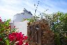 Villa à Tavira - THE WINDMILL, Estorninhos