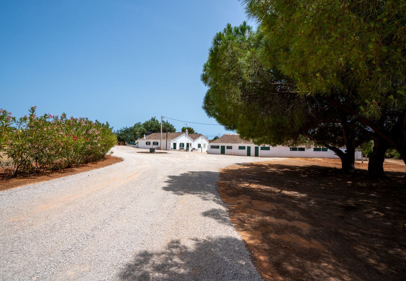 Gîte Rural à Tavira - CCASA ALECRIM, Quinta Vale Caranguejo