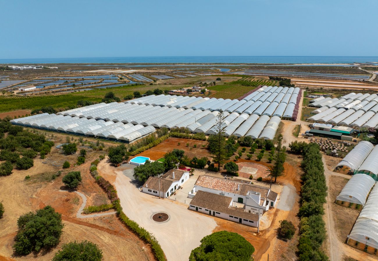 Gîte Rural à Tavira - CCASA ALECRIM, Quinta Vale Caranguejo