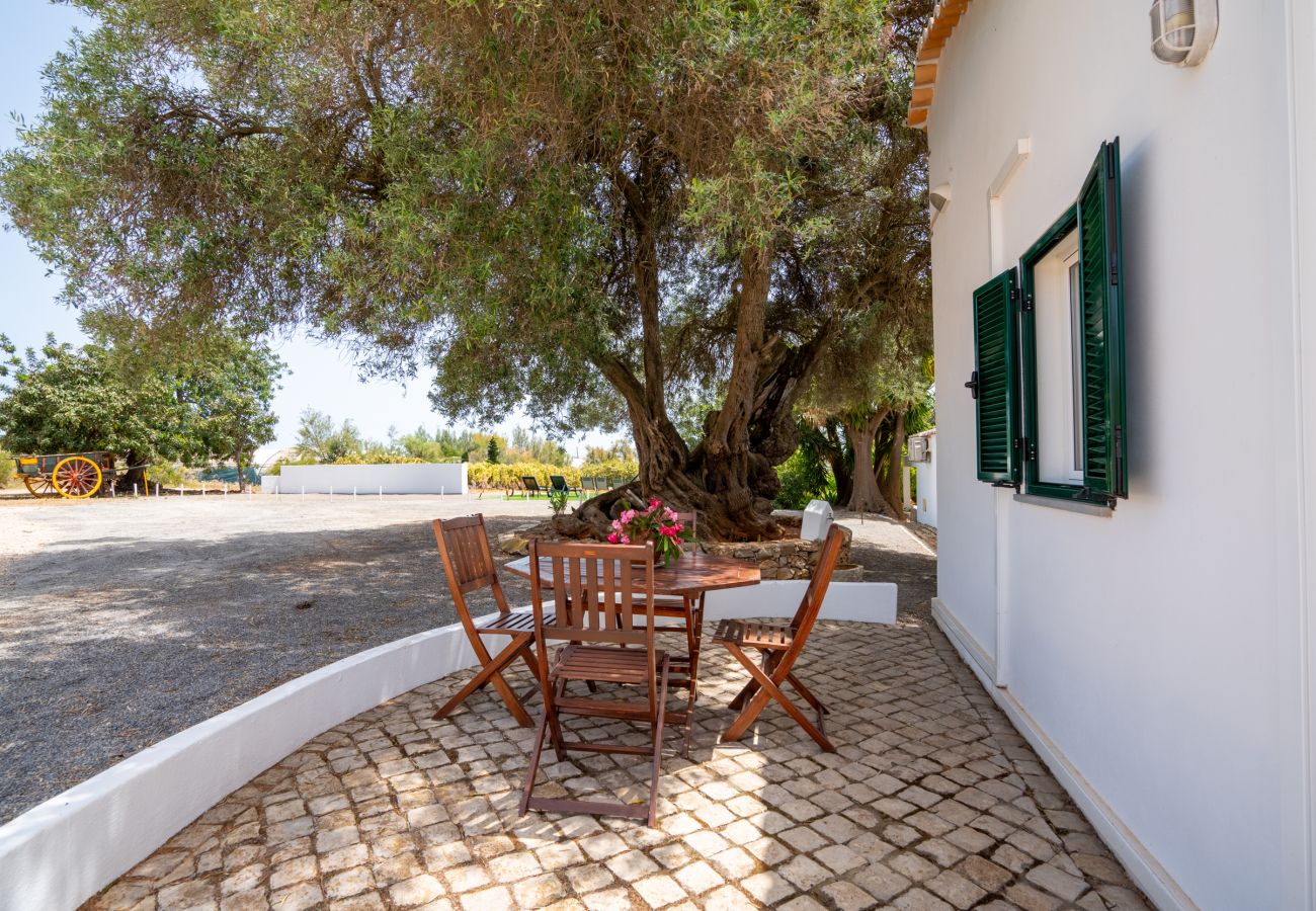 Gîte Rural à Tavira - CCASA ALECRIM, Quinta Vale Caranguejo