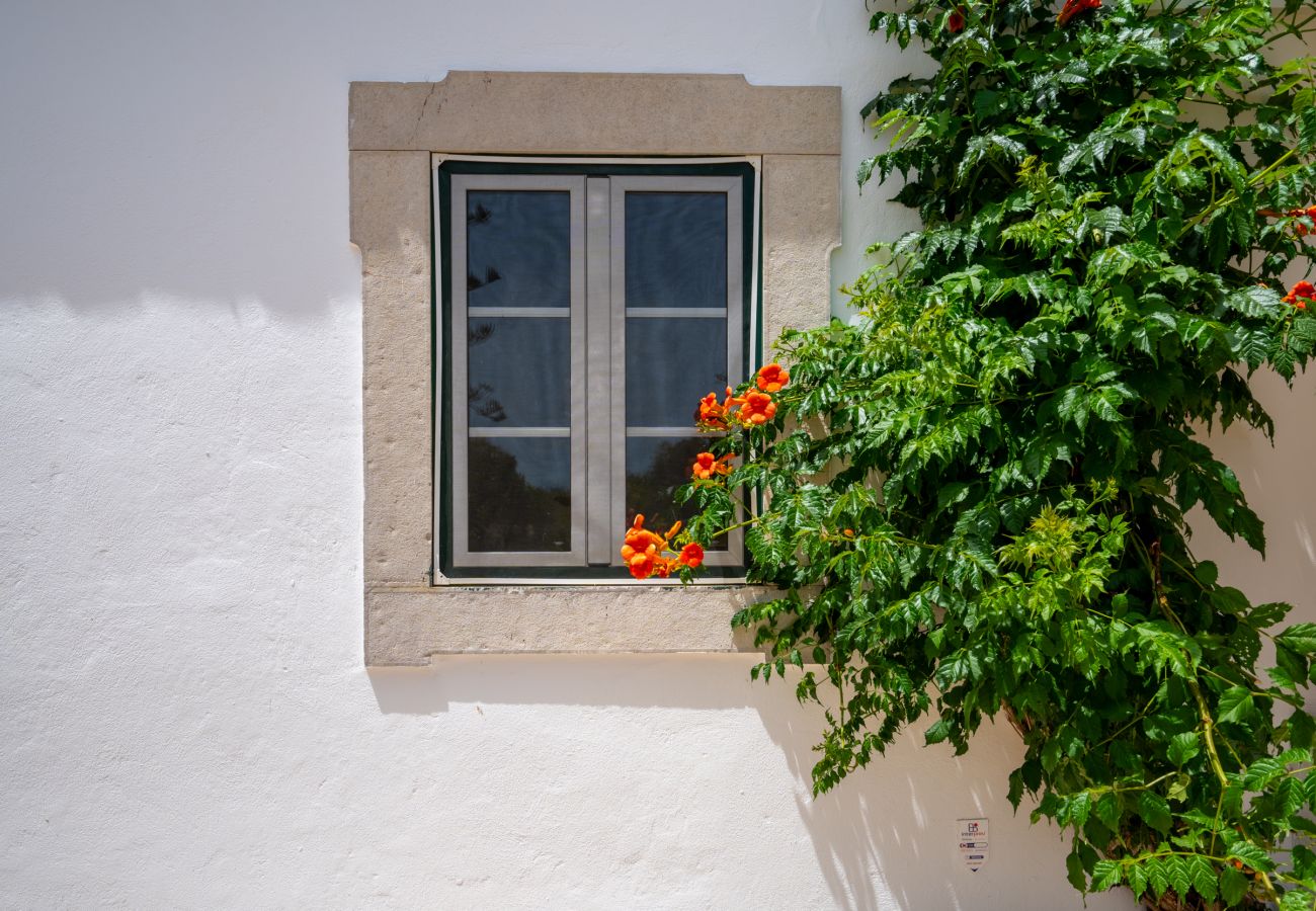 Gîte Rural à Tavira - CASA BUGANVILIA, Quinta Vale Caranguejo
