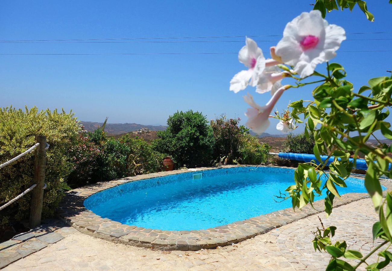 Villa in Tavira - THE WINDMILL, Estorninhos